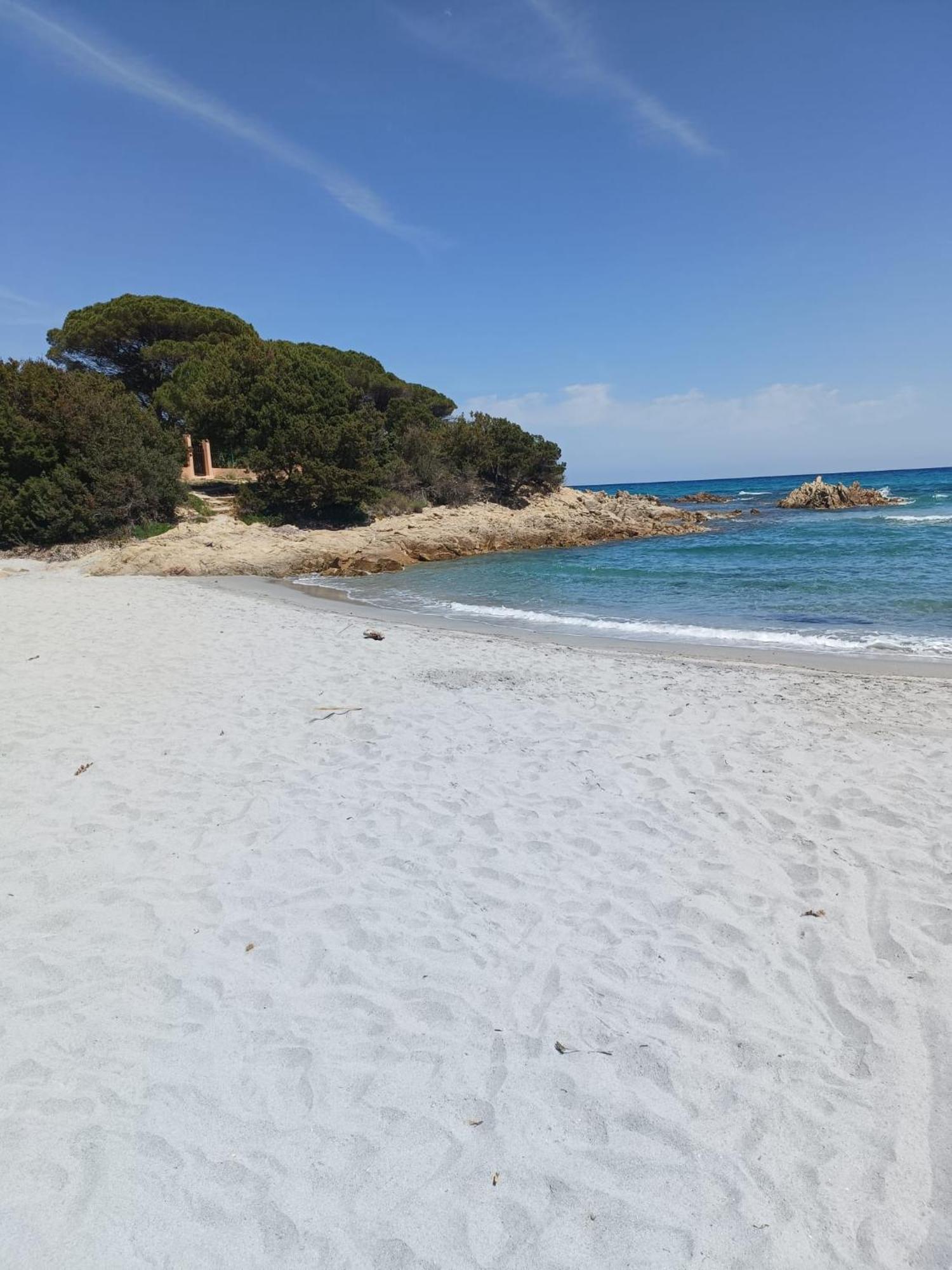 Guest house Sorella Luna Boutique Olbia
